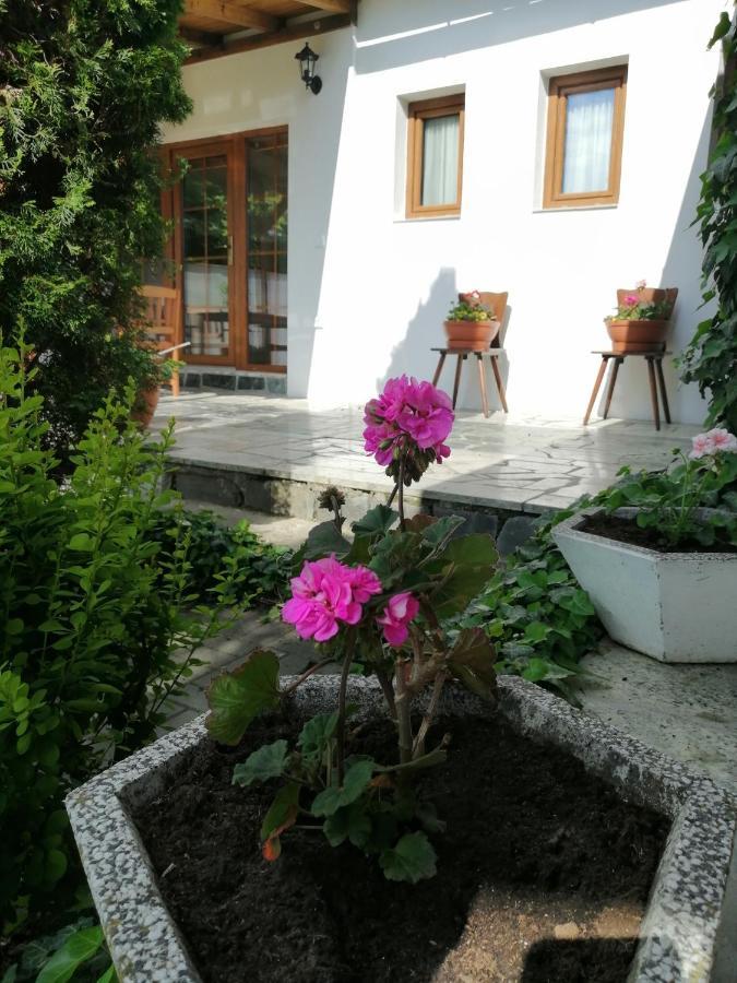 Apartmany 62 Novy Prerov Екстериор снимка
